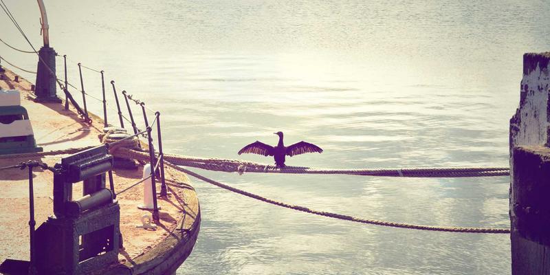 广交会75届采购服务全解析：全球买家的高效采购指南