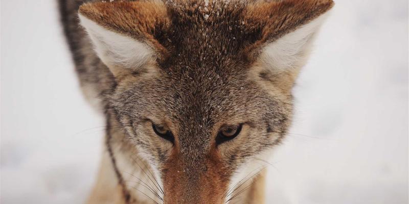 广交会参展商必读：高效准备样品与宣传材料的实战指南