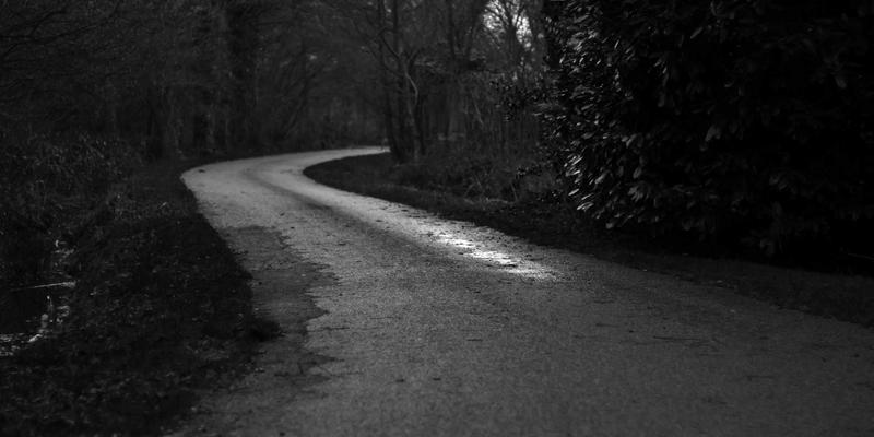 广交会参展指南：知识产权纠纷现场应对与风险防范实操手册