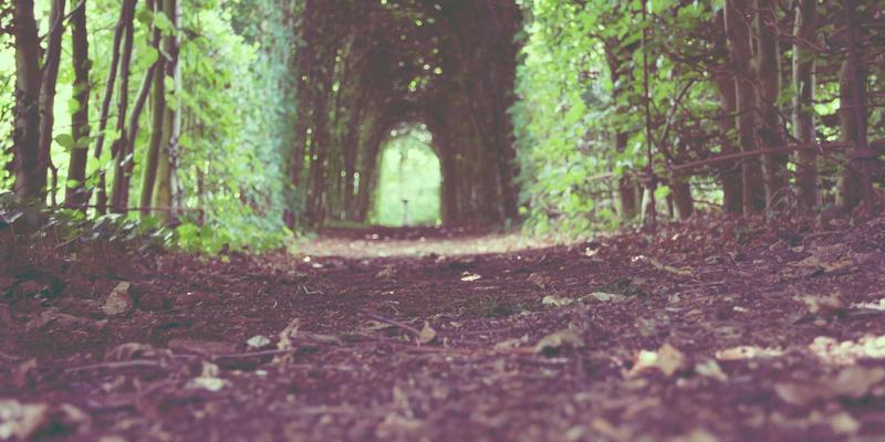 广交会采购全攻略：解锁全球贸易采购的专业服务与实战技巧