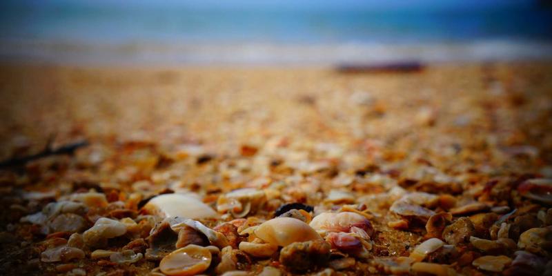 广州广交会31：全球贸易采购盛会，把握展会资讯新机遇