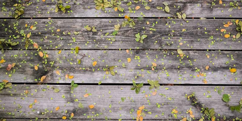 广州广交会40年：全球贸易采购的风向标与展会资讯全解析