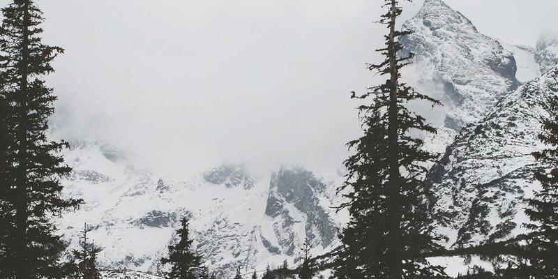 广州广交会88:全球贸易盛会与高效采购服务的全方位指南