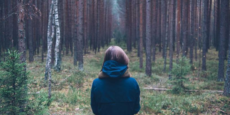 广州广交会（中国进出口商品交易会）2024年参展全指南：从筹备到实战