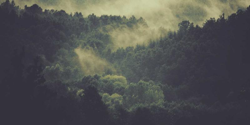 广州广交会:全球贸易采购的核心枢纽与专业采购服务指南