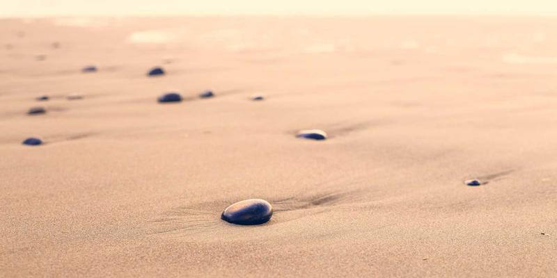 广州广交会参展全指南：从筹备到采购的高效攻略