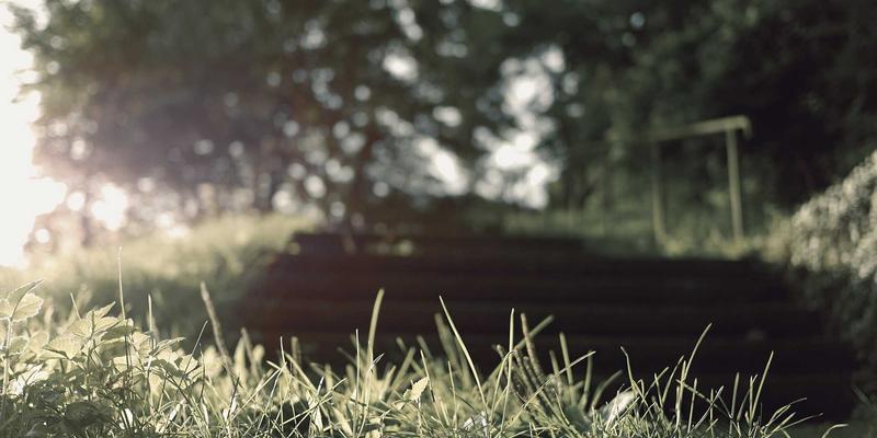 广州广交会参展全攻略：琶洲展馆周边住宿与高效交通指南