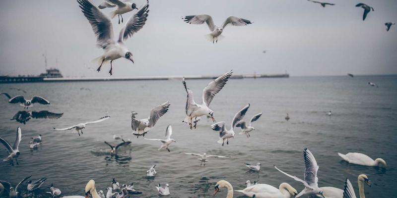 广州广交会参展指南：从国内集货到展馆进馆的物流与展品运输全攻略